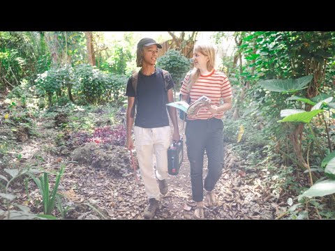 Freiwilligendienst mit weltwärts: Gute Gründe ins Ausland zu gehen