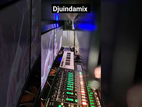 ( 1 jour _1 pattern ) The Matrix by Djuindamix ( ARTURIA Matrixbrute vs ROLAND TR-8 )
