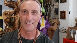 Trees - The Hidden Truth They Don&#39;t Want You To Know