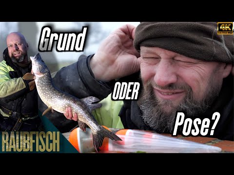 Matze is doing the baitfish test: let it drift or anchor it firmly?