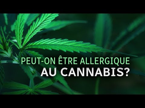 PEUT-ON ÊTRE ALLERGIQUE AU CANNABIS?