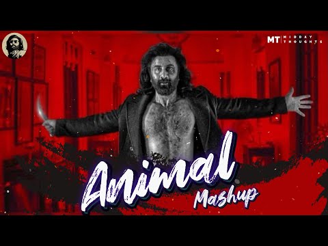ANIMAL Mashup 2024 Nonstop - Jukebox | Satranga | Midday Thoughts
