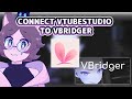 TUTORIAL How To Connect VtubeStudio To VBridger With IPhone