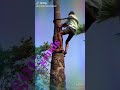 Pavan Goud Iam Time Climbing Tree