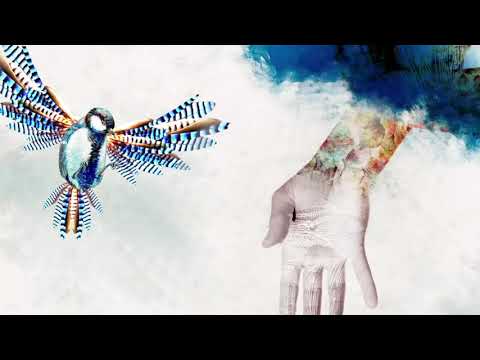 La Charo - Pajarito (Video Oficial)