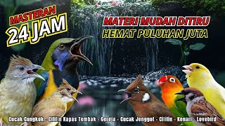 Download lagu MASTERAN AMPUH MUDAH DITIRU UNTUK BURUNG FIGHTER - 24 JAM NONSTOP mp3