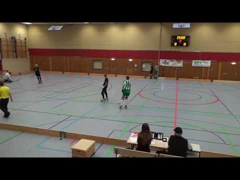 moskitos-hsv krefeld 1st helft