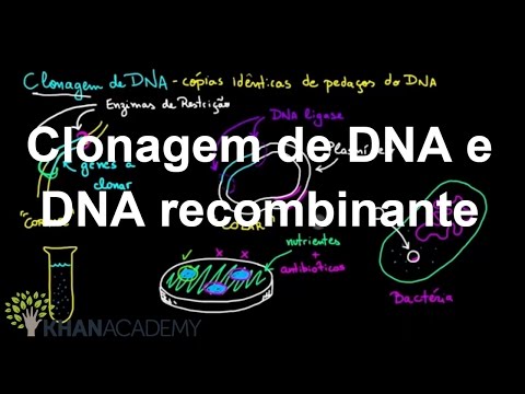 DNA Cloning and Recombinant DNA | Biotechnology | Biology | Khan Academy