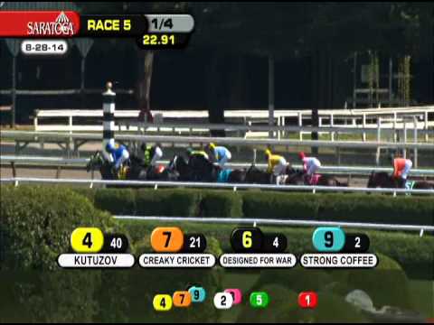 Startup Nation - 2014 With Anticipation S. (G2)