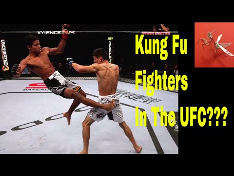 Kung Fu Fighters in the UFC