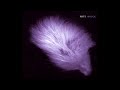NITS 2000 ivory boy