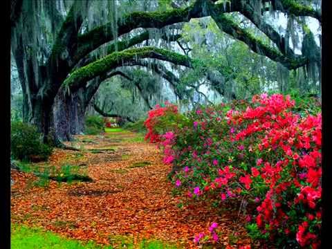 Nazmi Belica - Si të dashuroj