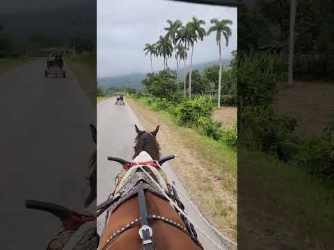 Del video anterior #Segundofrente #santiagodecuba #recorridoporcuba #viajesporcuba