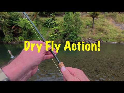 Dry Fly Action
