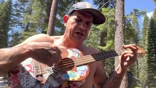 GOD IS AN INDIAN AND YOU’RE AN ASSHOLE - baritone ukulele cover- (Modest Mouse 🐁 ) #sicksessions