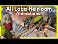 All LOBA HEIRLOOM Animations in Apex Legends