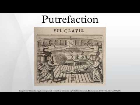 Putrefaction