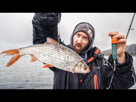 Mit Köderfisch und Pose auf riesige Winterhechte (BISS auf BISS)
