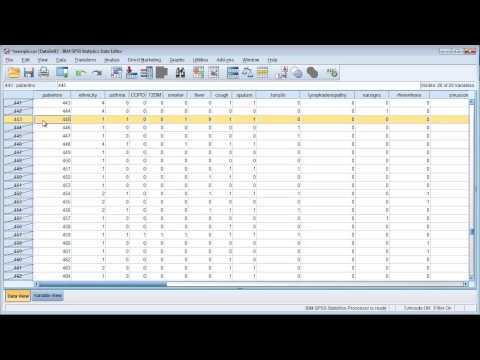 Data Cleaning In Spss
