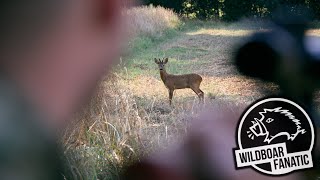 Französische Rehböcke | Der Donnerbock (Hunt On Demand Free Episode)