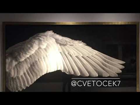 cvetocek7 x amurbeatz. - нету места для тебя