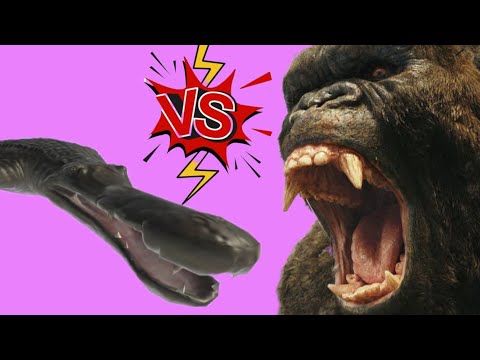 Machimosaurus Rex VS Primates + Goro. ARBS mobile.