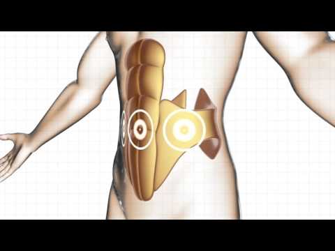 Пояс миостимулятор для тренировки мышц пресса для женщин и мужчин Slendertone Flex Unisex