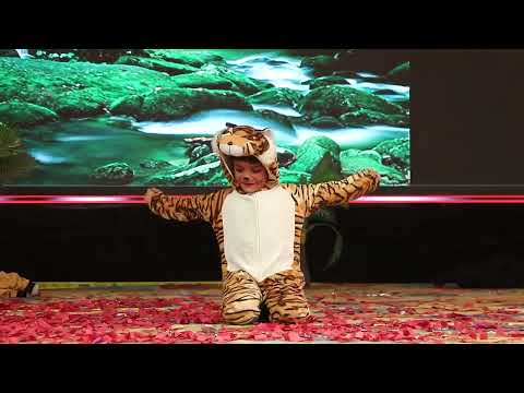 The Lion Sleep Tonight | Annual Function 2025 | ADHARSHILA SCHOOL ABOHAR 