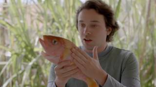 Endless Adventures on the Island of Hawaii