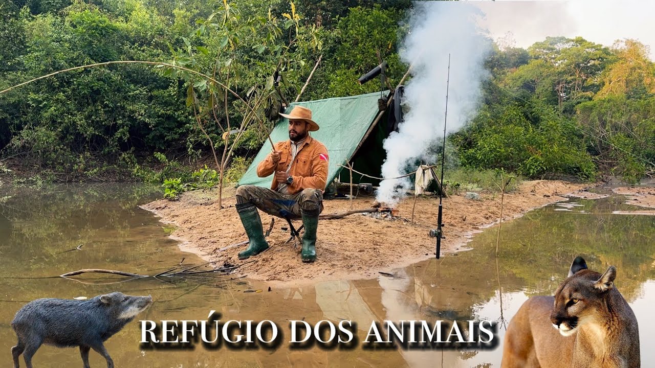 ELA ia ATACAR os PORCOS SELVAGENS, CHEGUEI bem na hora! ACAMPEI no refúgio dos ANIMAIS Silvestres