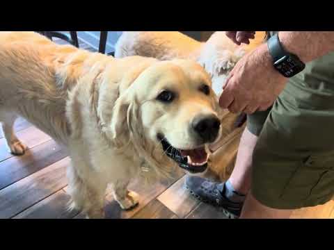 090725 Jazer CSAT Mission #W38- 4