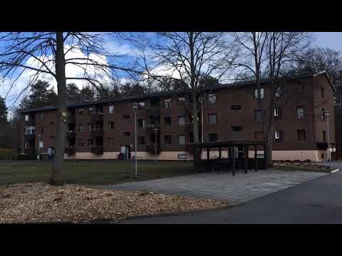 LINDVÄGEN (södra) - 200403 - KALLINGE - iPhone SE (Blekinge)