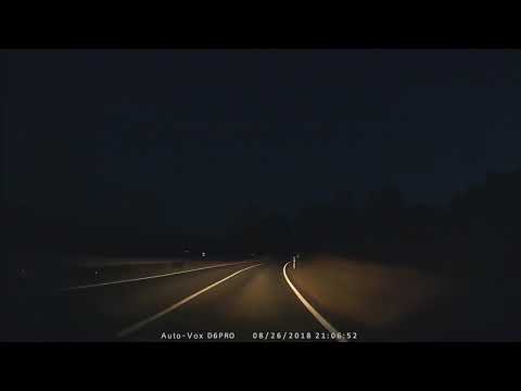 Reh Autounfall Wildunfall