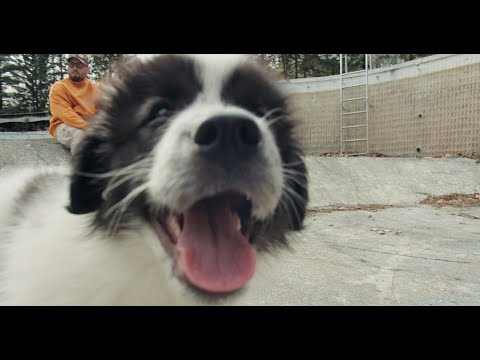 Oliniutza - POET 3 (videoclip oficial)