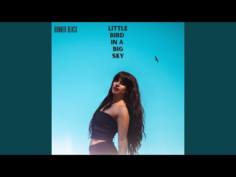 Little Bird In A Big Sky
