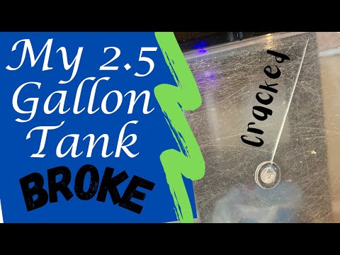 Mein Topfin 2,5-Gallonen-Aquariumtank ist kaputt :( | PLUS: Einrichtung eines provisorischen Tanks