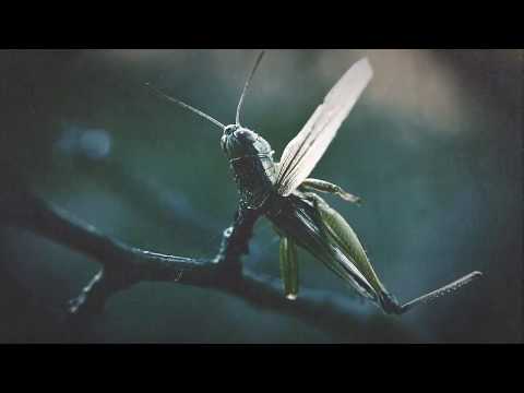 Resident Evil 7 Walkthrough Part 20 "FINALE" No Commentary