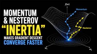Momentum & Nesterov - Why Inertia makes gradient descent converge faster