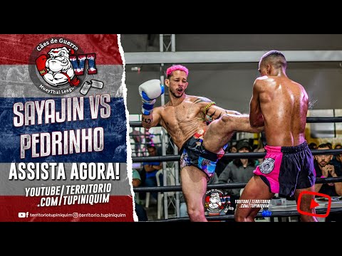 Pedrinho vs Sayajin - Cães de Guerra 6
