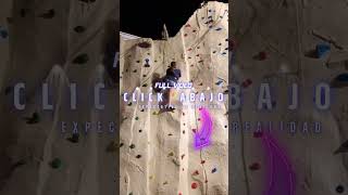 Icon of the Seas Expectativa vs Realidad