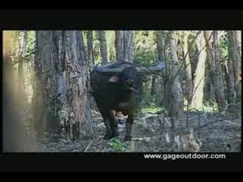 download lagu mp3 mp4 Gage Outdoor Expeditions Reviews, download lagu Gage Outdoor Expeditions Reviews gratis, unduh video klip Gage Outdoor Expeditions Reviews