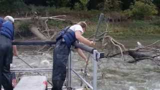 preview picture of video 'Illinois Long-term Electrofishing on the Wabash River with Invasive Silver Carp - Tim Edison'