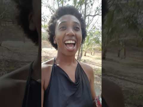 Video Sample