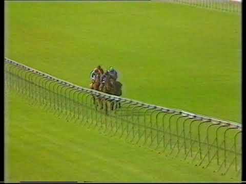 1988 Princess Of Wales's Stakes