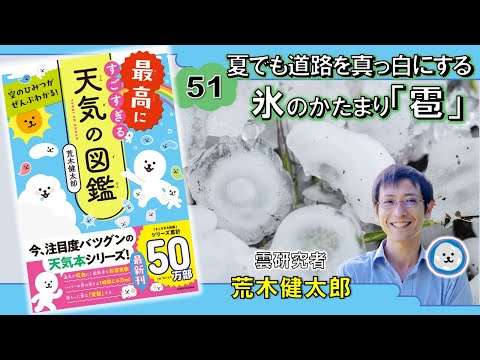 冬になるとトゥジャが茶色になるのはなぜですか?原因と解決策は何ですか?  庭園