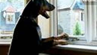 Top 10 Difficult Cases: Harvey