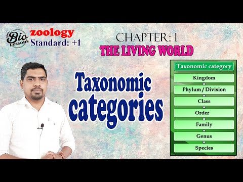1 Zoology : Taxonomic categories