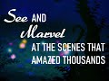 Disney Warner Bros Entertainment Fantasia 1940 Original Trailer Fanmade