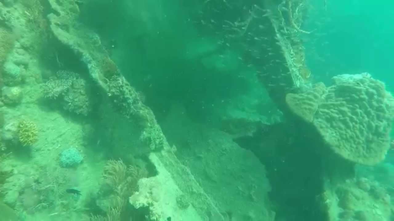 Experience the underwater world at Taiei Maru diving.