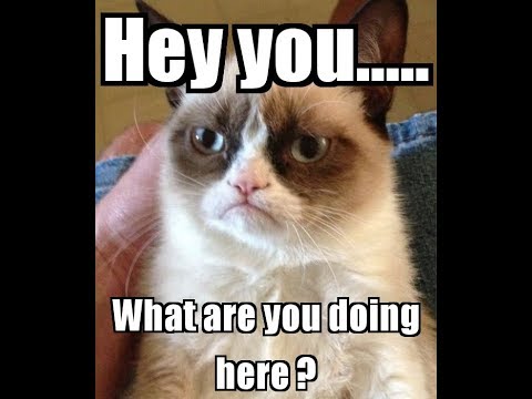 Counter Stirke 1.6 Monster Co-op #27 - CE FACETI MA AICI?